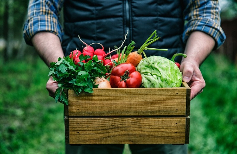 farmer holding fresh vegetables