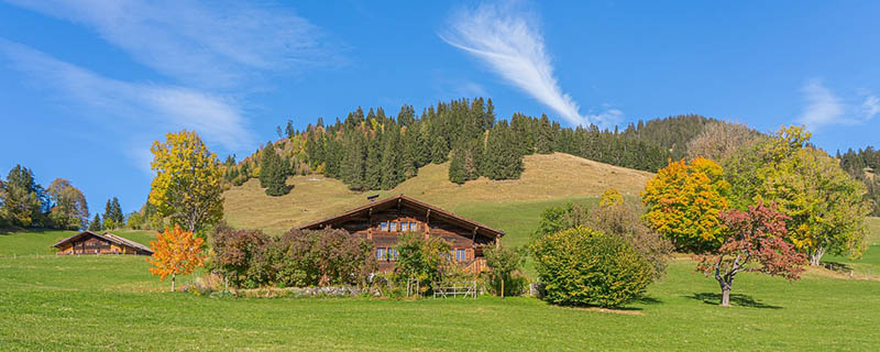farmhouse during fall