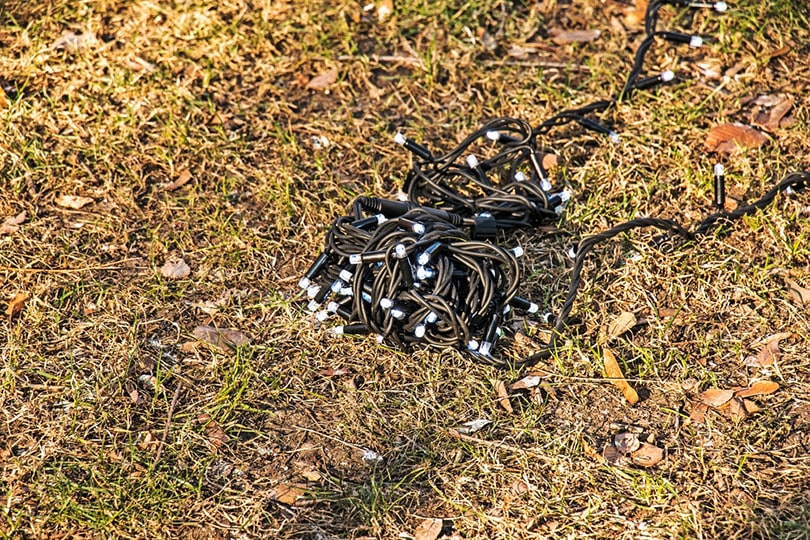 fixing christmas light on land