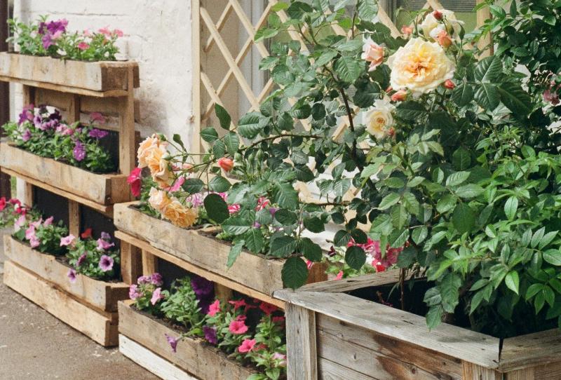 garden flowers on wooden flowers outside the house