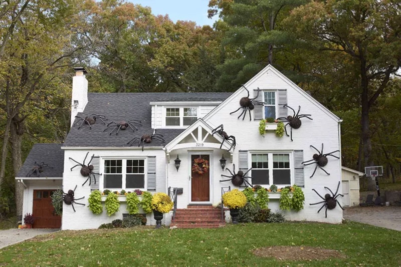 giant diy spiders