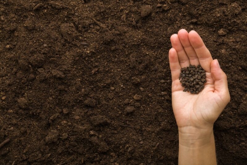hand pouring black granules of chicken manure on dark brown soil
