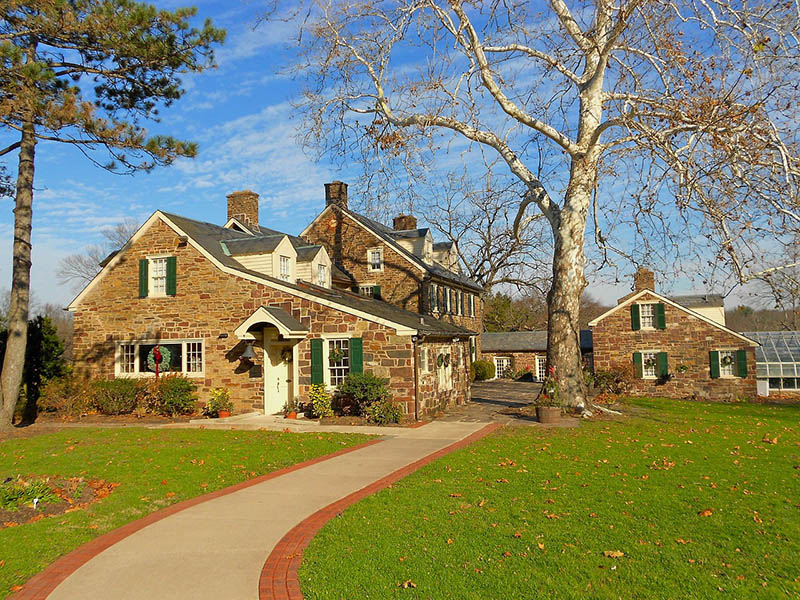 house with front yard during fall