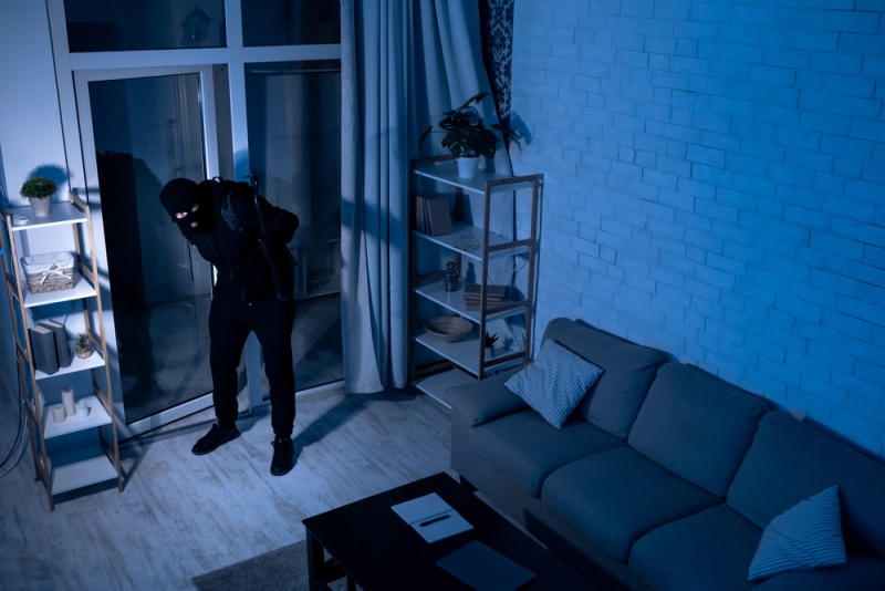 intruder sneaking into the house