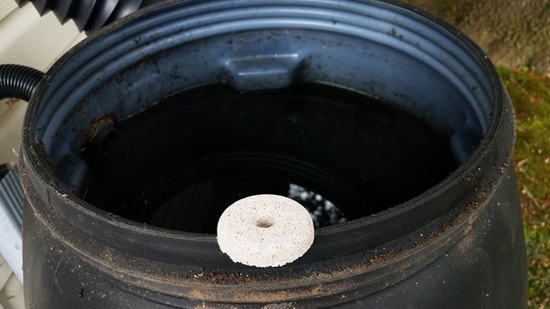larvicides on edge of rain barrel