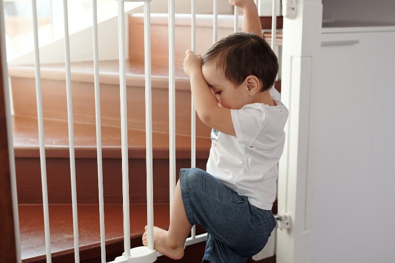 little boy trying to climb a baby gate