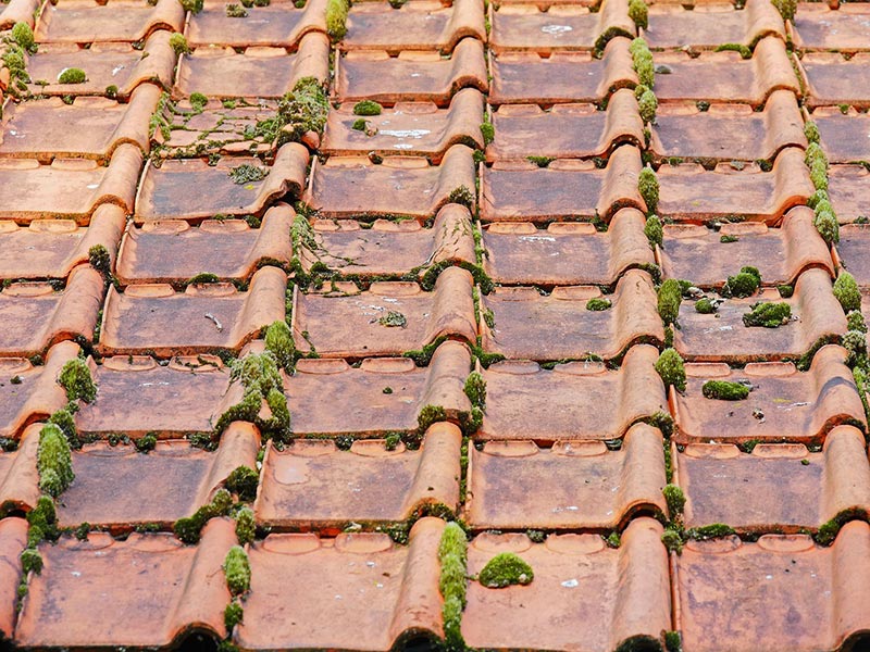 old roof with moss