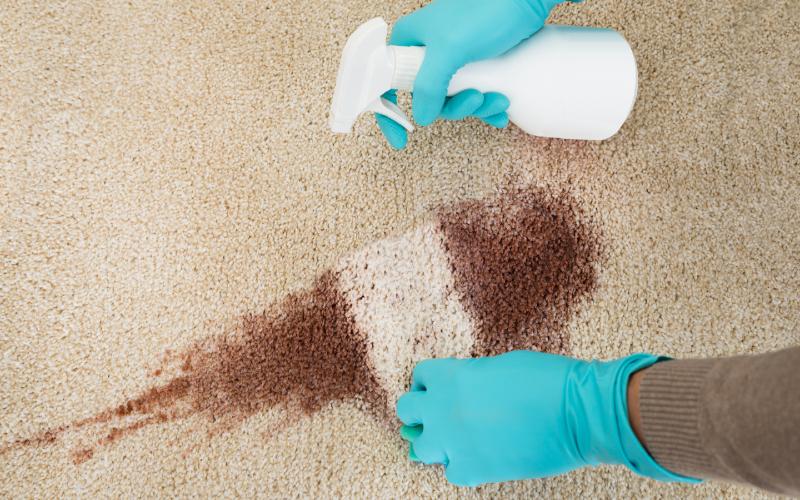 person spraying cleaning solution on carpet rug with stain