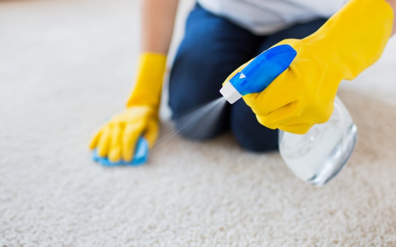 person spraying the carpet