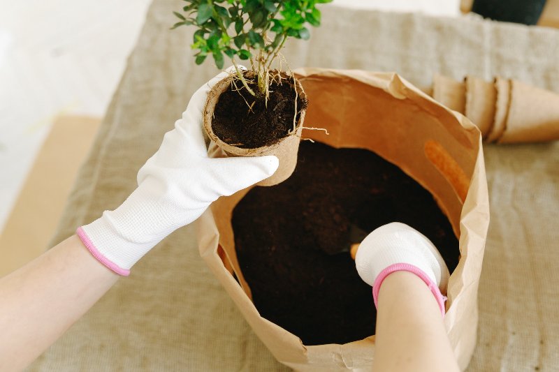 person with white gloves scooping soil compost from bag