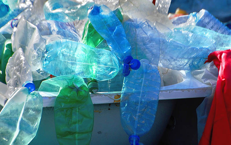 plastic bottles in a trash