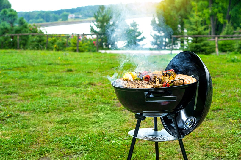 portable bbq grill