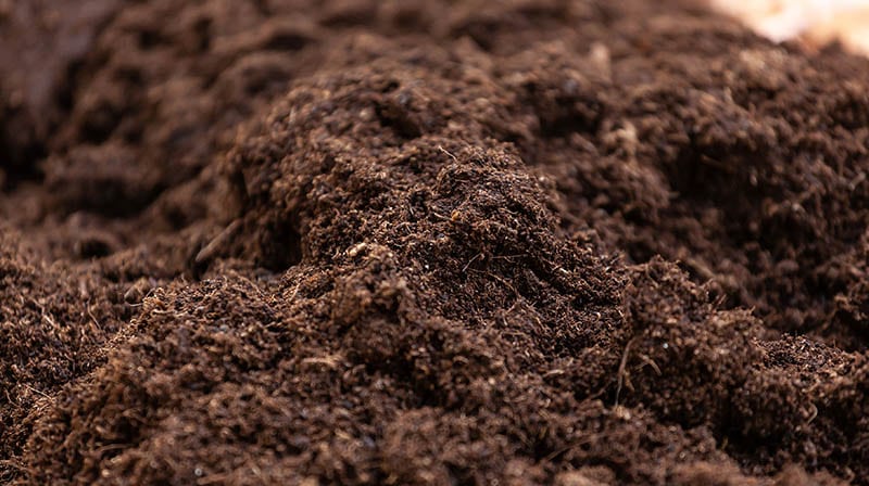 potting or peat soil