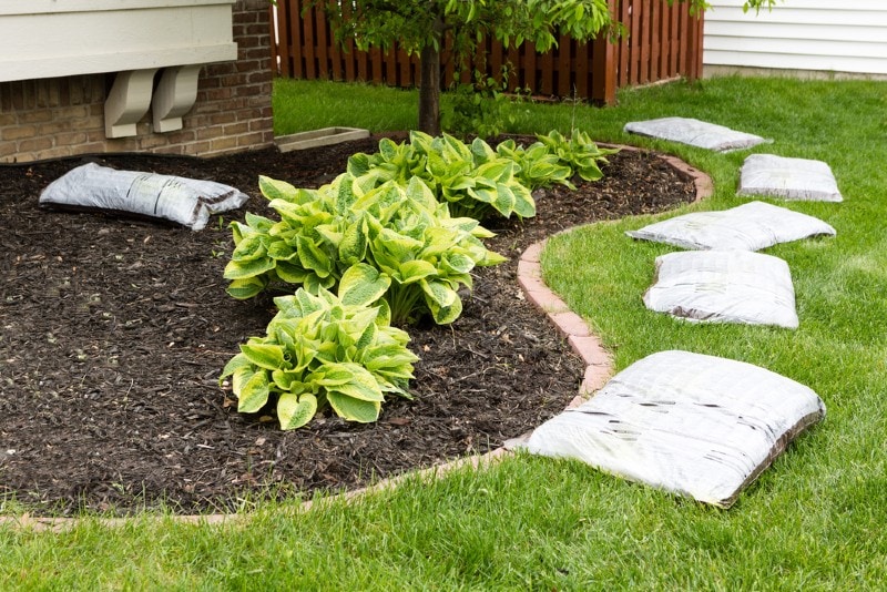preparing to mulch garden