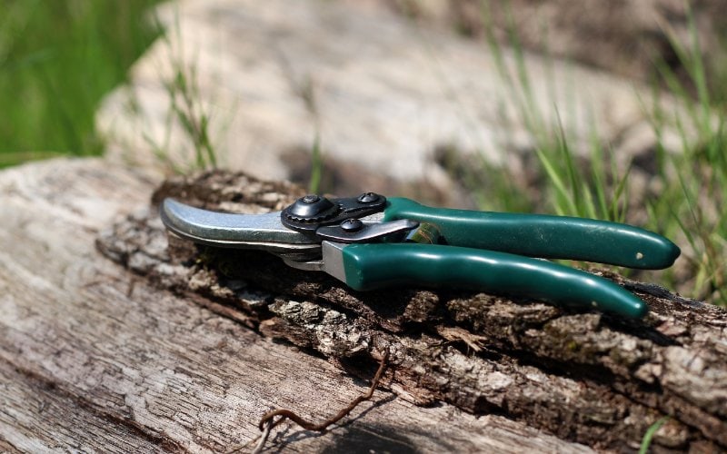 pruning shears with green handles on top of log