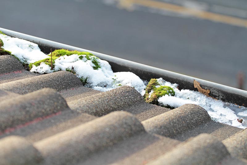 roof with moss and snow