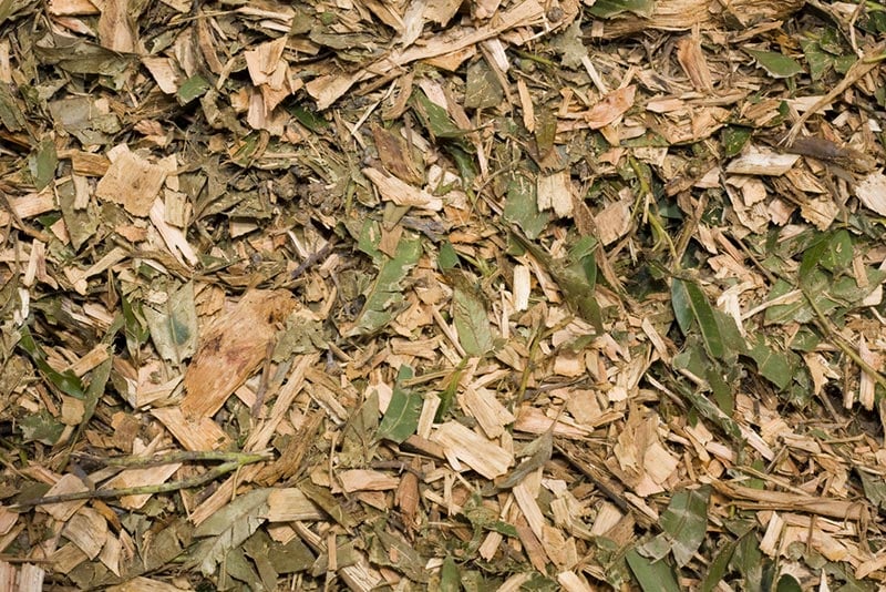 shredded tree and leaf mulch