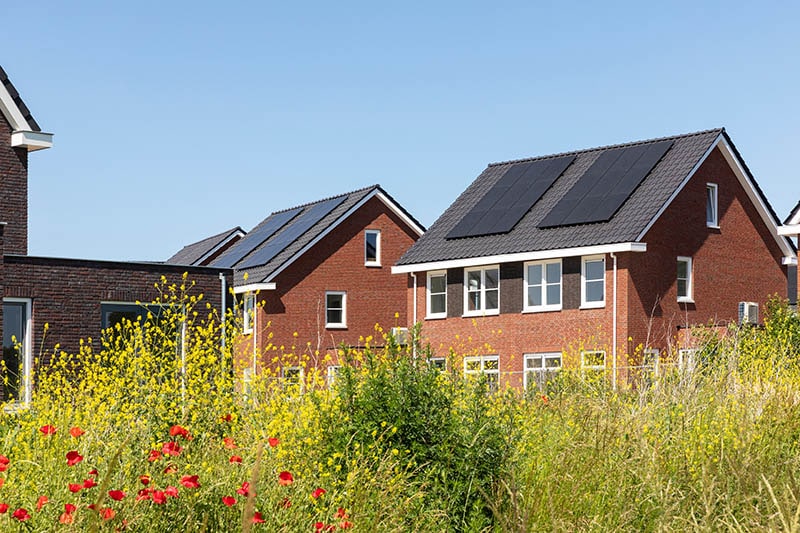 sustainable houses