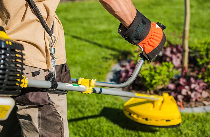 trimming garden using string trimmer