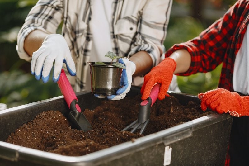 two people with gloves getting soil compost