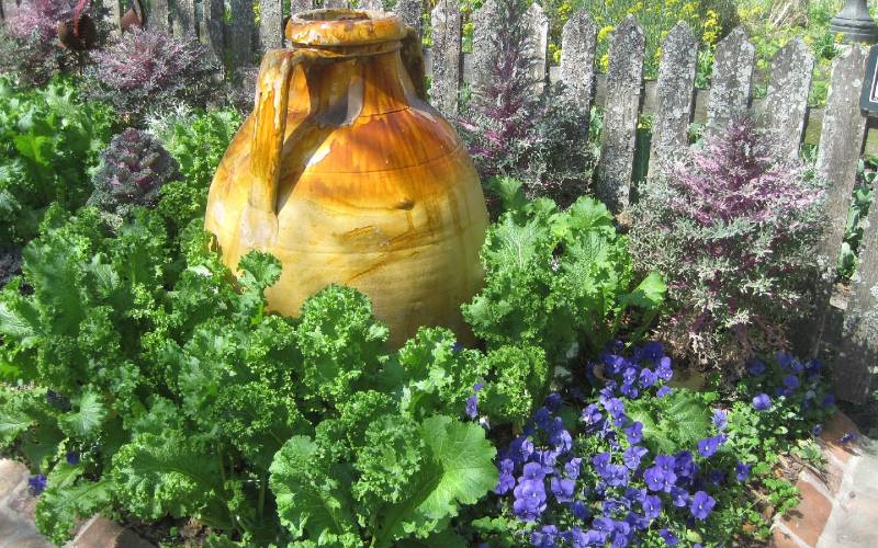vase in the middle of a garden with lettuce, flowers, and other plants