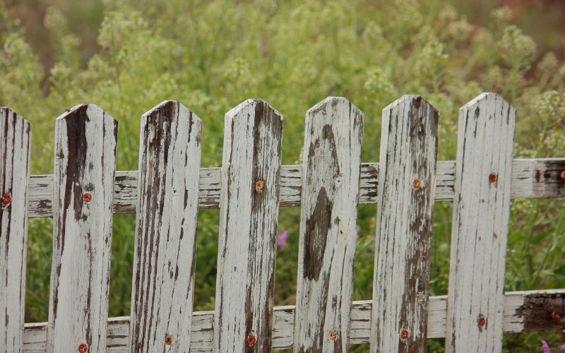 weathered white wooden fence posts