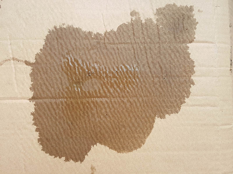 wet cardboard