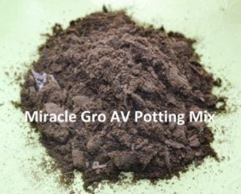 African Violet Soil _ Potting Mix