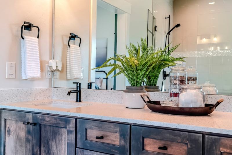 Bathroom vanity with sink potted plant and tray of hygiene items over cabinets