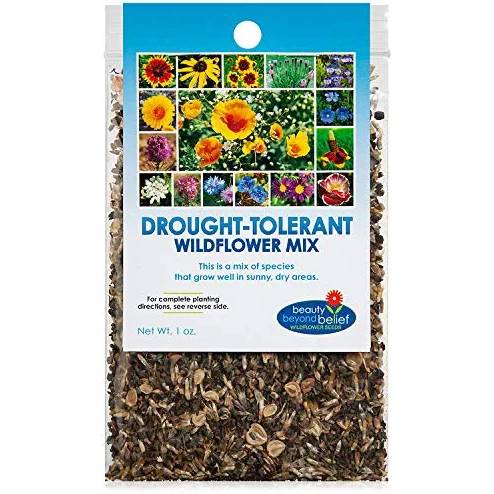 Beauty Beyond Belief Drought Resistant Wildflower Seeds