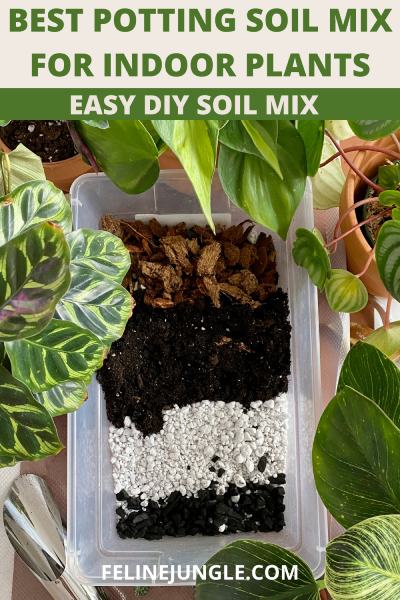 Best Potting Soil Mix for Indoor Plants _ Easy DIY Soil Mix
