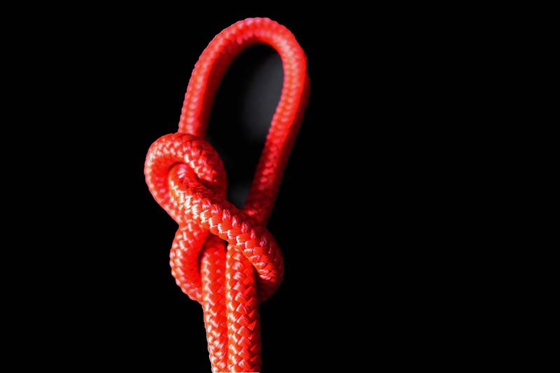 Bowline Knot