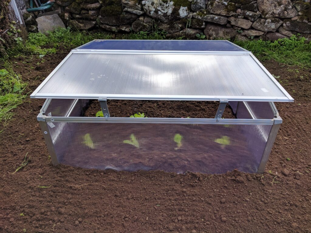 Cold Frame