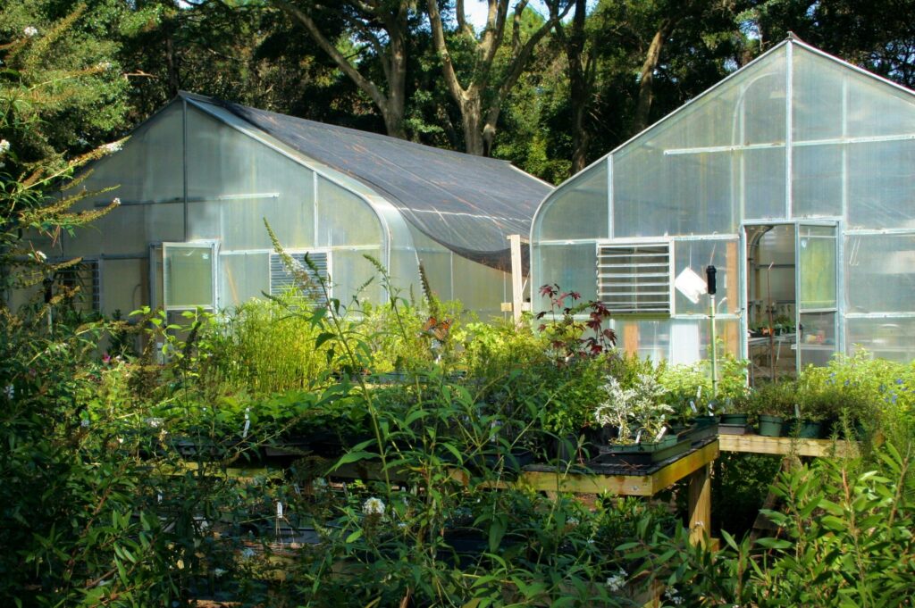 Cold Frame