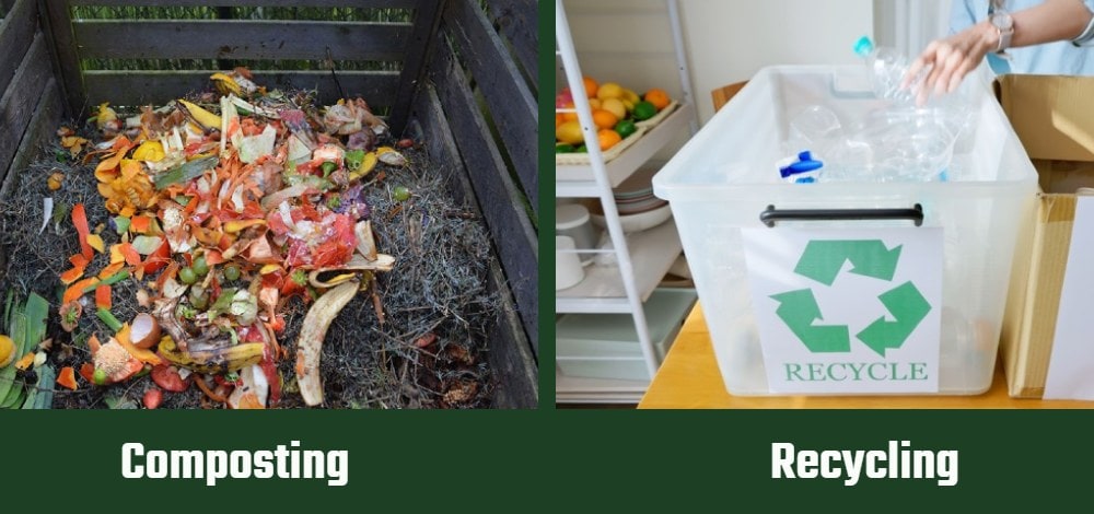Composting vs Recycling
