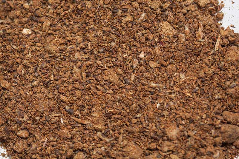 Cottonseed meal