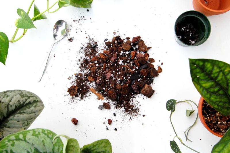 DIY Chunky Soil Mix for Aroids