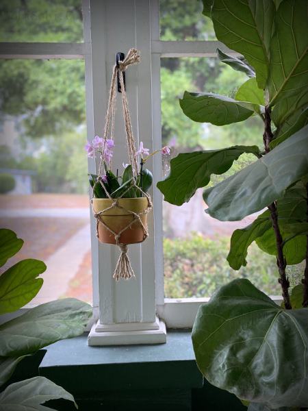 DIY Easy Rope, Plant Hanger