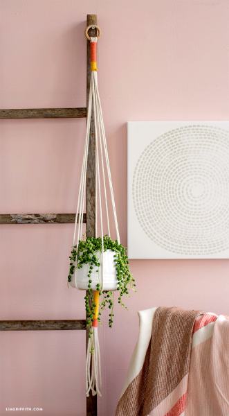 DIY Hanging Planter