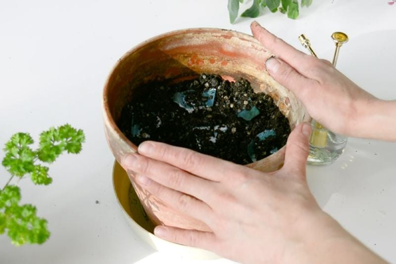 DIY Indoor Potting Soil Mix