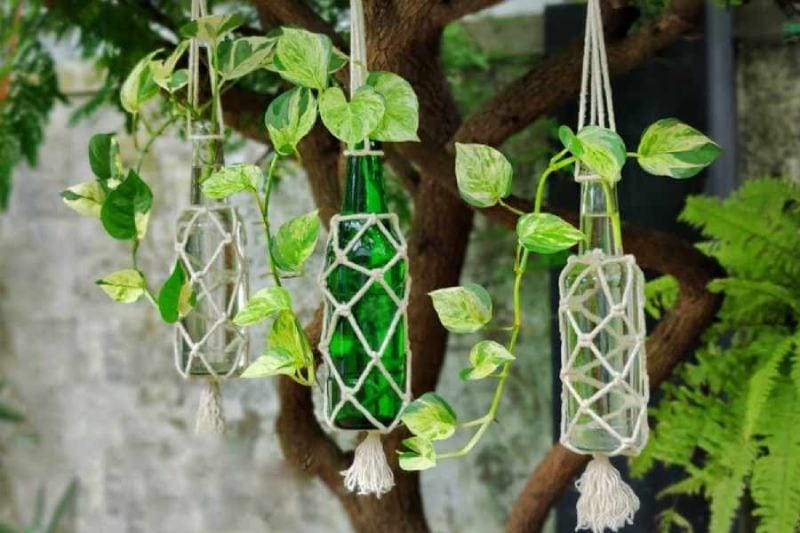 DIY Knotted Bottles - Easy Hanging Garden
