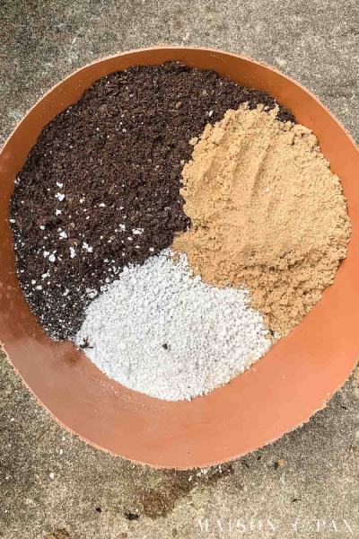 DIY Succulent Soil Potting Mix