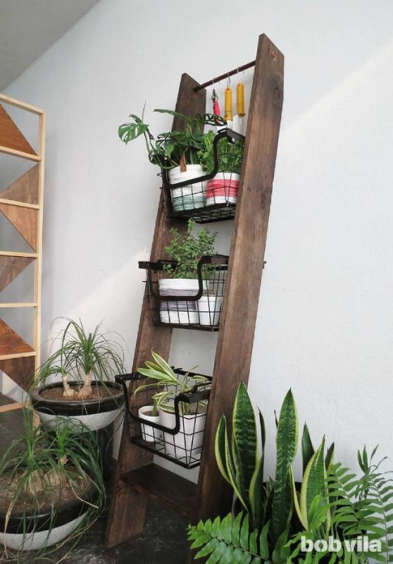 DIY ladder plant stand