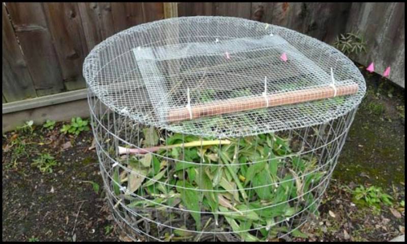 DIY wire mesh composter