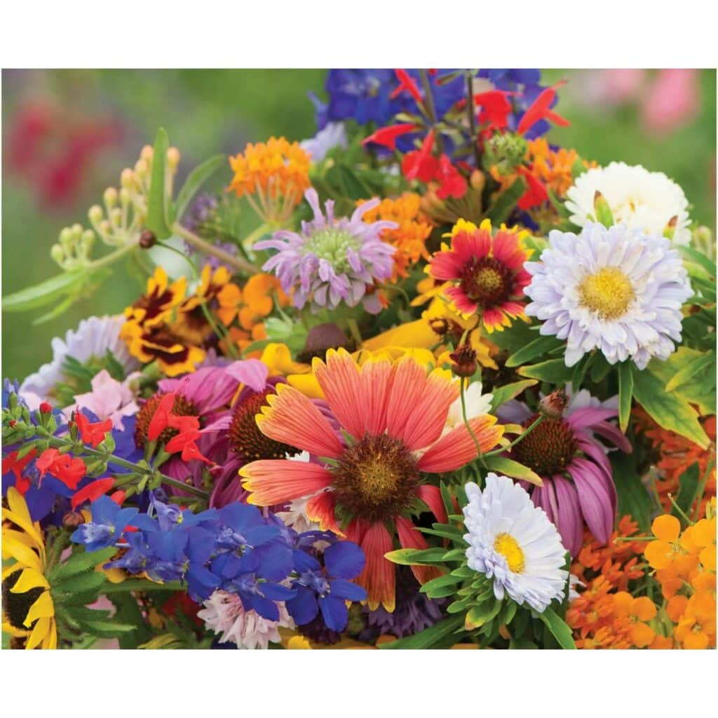 David's Garden Seeds Butterfly & Hummingbird Wildflower Seeds