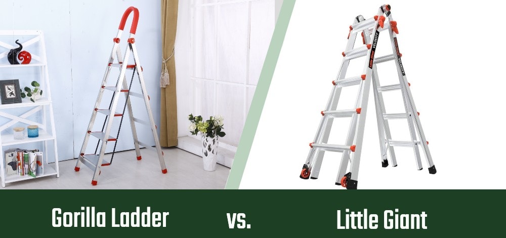 Gorilla Ladder vs Little Giant