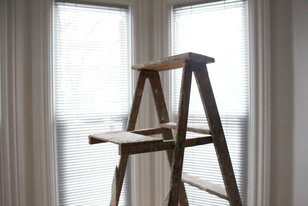 Gorilla Ladder