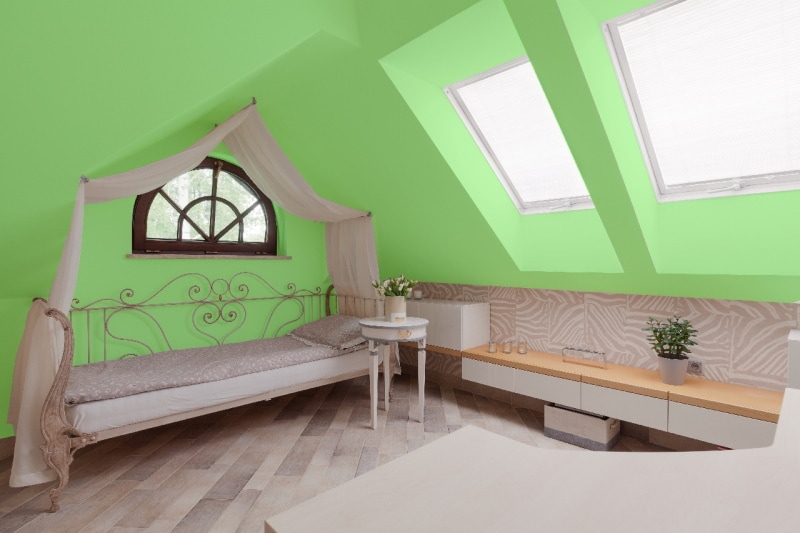 Green walls and ceilings in sitting room