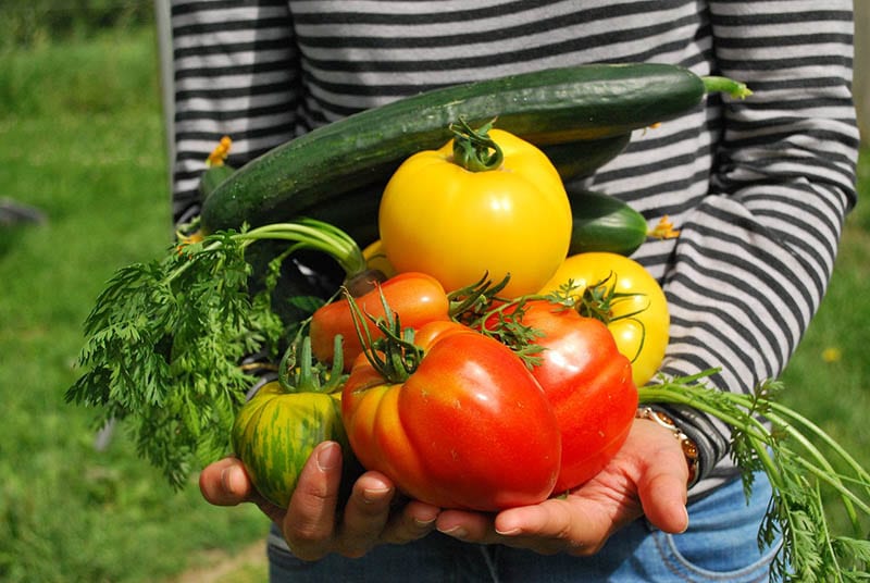 Holding Vegetables