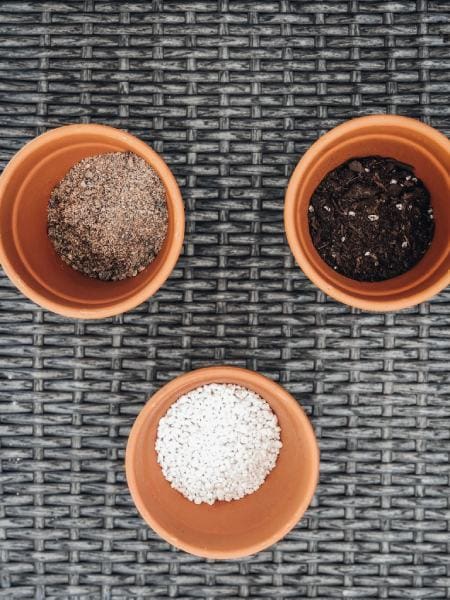 How to Make Your Own Succulent Soil (DIY Recipe Mix!)